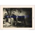 Young Bull - Paul Potter, 1902