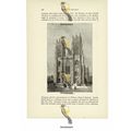 York Cathedral (Minster), England, Book Illustr...