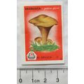 vintage Matchbox Label - 50 Drvaca - Brasnjaca