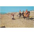 North Beach, Heacham Norfolk Postcard (NFK1693)