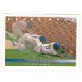 1993 Upper Deck Andre Dawson baseball card #308...