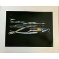 Large Wall Art Print “ Gliding Through “by Rach...
