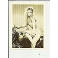 WILD CHILD (Grant Sainsbury) Athena Postcard (E...