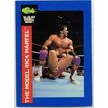 WWF ' CLASSIC ' card # 41 BUSHWACKERS (1991)