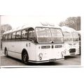 Black & White Photograph of Tillings Transport ...