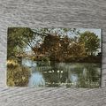 The River, Dedham Essex F Frith & Co Series UNU...