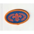 Scout Badge - Chief Scout Bronze Award - 2000's...