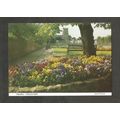 Postcard Devon Sidmouth Pansies on Church Path
