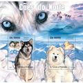 SAO TOME PRINCIPE 2011 SHEET MNH NORTHERN DOGS ...