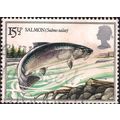 GB, FISH, Salmon, grey 1983, 15½p