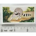 Neilson's Interesting Animals card No. 41 Racoon