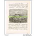 VIEW OF FUNCHAL MADEIRA, Book Illustration c1890