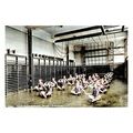 ptc5837 - Yorks - Early view, Gym at Batley Gir...