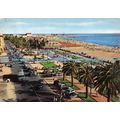 D025206 Viareggio. Seaside Avenues. Alterocca T...