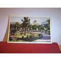 PRINCESS GARDENS, TORQUAY, Devon. used vintage ...