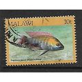 MALAWI 1984 FISHES 10t FAIRY CICHLID SG 693 FIN...