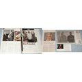 DENNIS FARINA Clippings