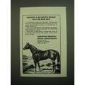 1980 American Quarter Horse Association Ad - Ma...