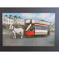 Centenary Horse Tram 1976 Official Douglas Corp...