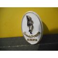 Grande Prairie,Alberta Lapel Pin,Plastic