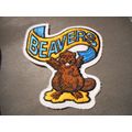 Boy Scouts,Beavers Patch