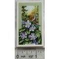 1939 Gallaher's Wild flowers No. 33 Lesser Peri...