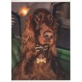 Red Setter Dog in Glasgow Scottish Taxi Car Pho...