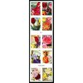 Botanical Art 2016 Issue Booklet Pane of 10 - S...