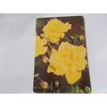 WEBBS GARDENING CARD / STANDARD ROSES (21/12) P...
