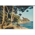 (83) CARQUEIRANNE La Plage et ses Arbres Centen...