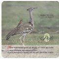 BEER MAT - GREENE KING BREWERY - PUB PARTNERS -...