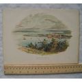 Vintage: coloured engraving - Queenstown Harbour