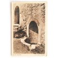 vintage postcard - Falaise, La Fountaine d'Arlette