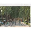 Malaga Paseo del Parque Spain Postcard used 198...