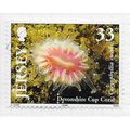 JERSEY 2004 DEVONSHIRE CUP CORAL MARINE SEA LIF...