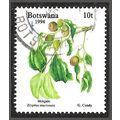 1994 Christmas - Edible Fruits 10t Fine Used C1