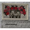 1916 Postcard Birthday Greetings, Puppies