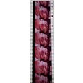 Pulp Fiction. Pk VXM - A011k . 1 STRIP OF 5 - 3...