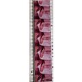 Pulp Fiction. Pk VXM - d089K. 1 STRIP OF 5 - 35...