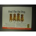 1992 Purina Fit & Trim Dog Food Advertisement - Find the Fat Dog