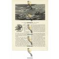 Rough Sea, Book Illustration (Print), 1884