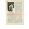 Amselfalle, Switzerland, Book Illustration (Pri...