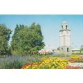 Seymour Square Blenheim New Zealand Postcard