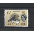 Ascension.SG71 1 1/2d White-capped Noddy.Mounte...