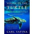 Voyage Of The Turtle