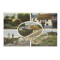 AYR, SCOTLAND multiview..unused vintage postcar...