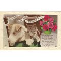 Vintage Colour Postcard - All Happiness on Your...