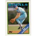 1988 Topps baseball card 195 Dan Quisenberry - ...