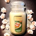Yankee Candle Christmas Cookie Large 22 Oz Jar ...