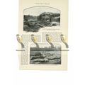 Silchester, Excavations, Hants, England, Book I...